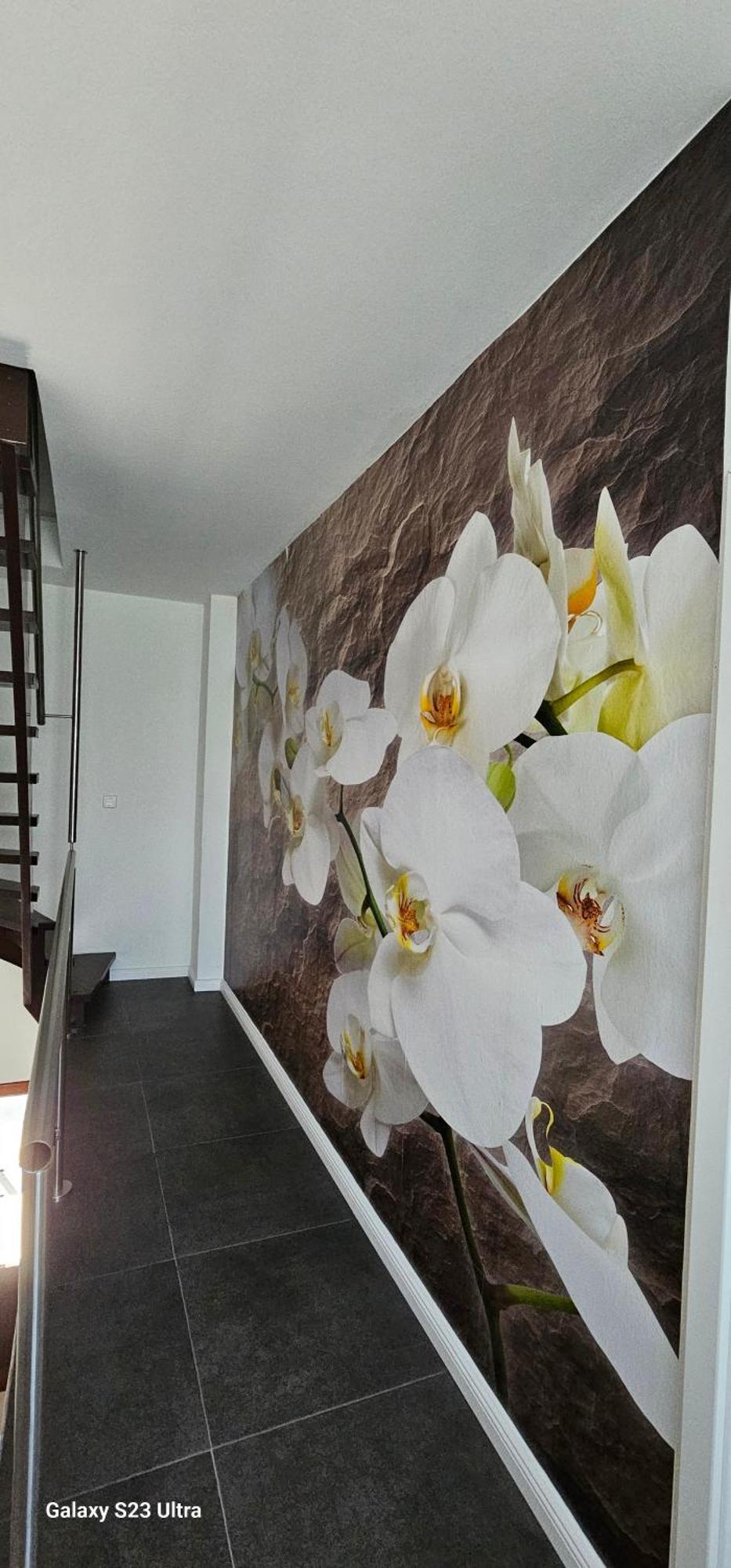 Gaestehaus Orchidee هويا المظهر الخارجي الصورة